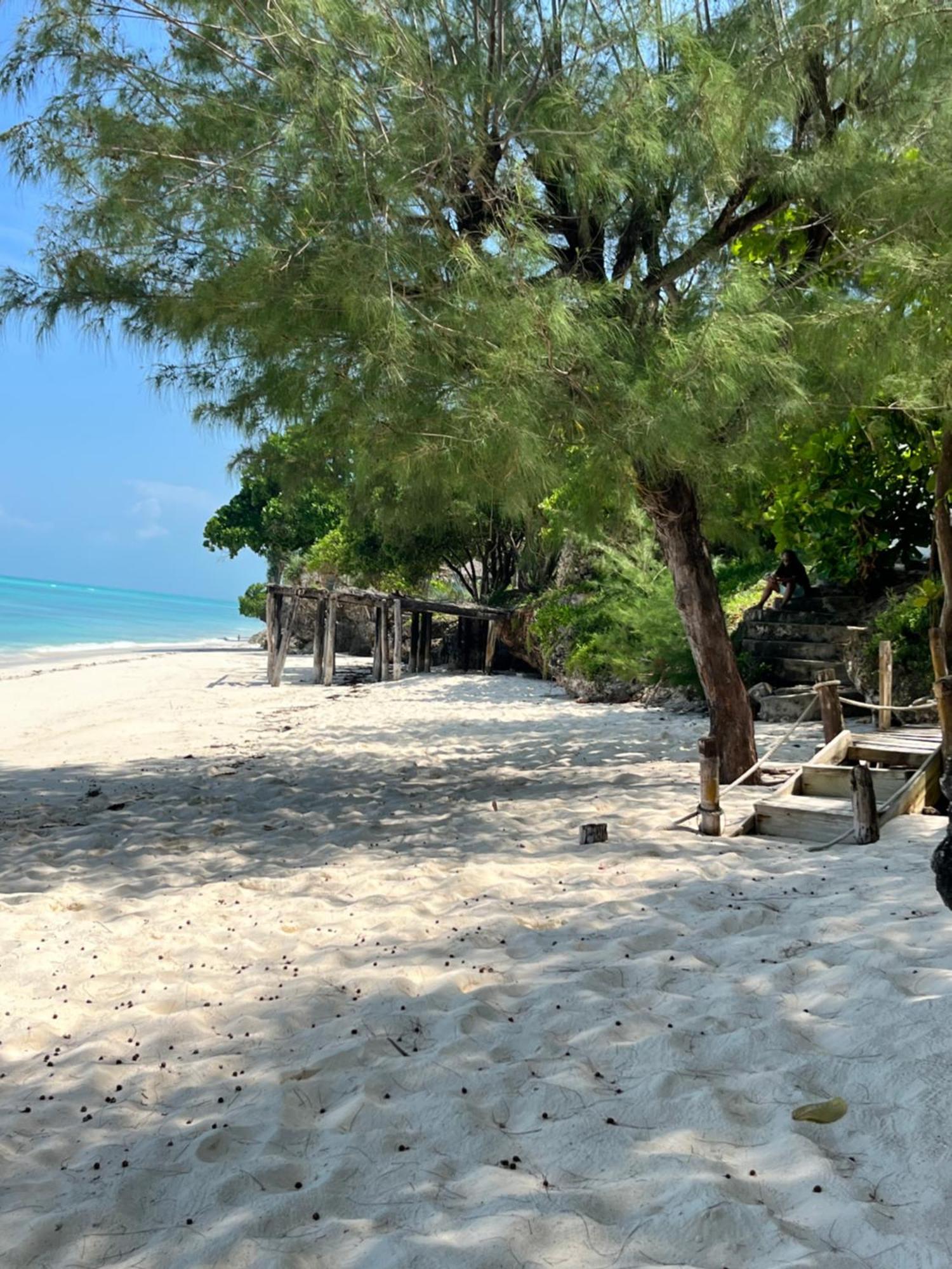 Sazani Beach Lodge And Tidal Lounge Nungwi Exterior photo