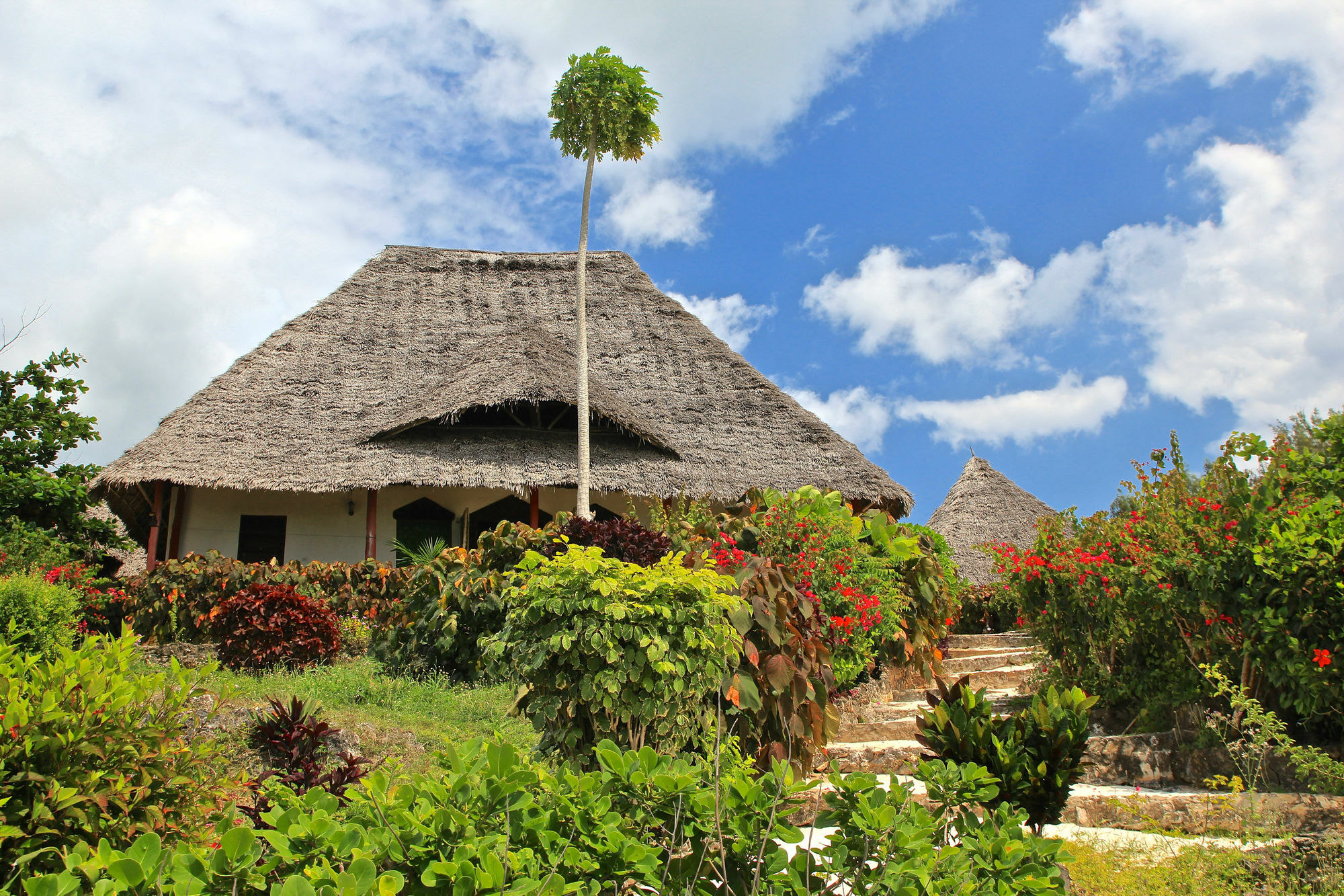 Sazani Beach Lodge And Tidal Lounge Nungwi Exterior photo